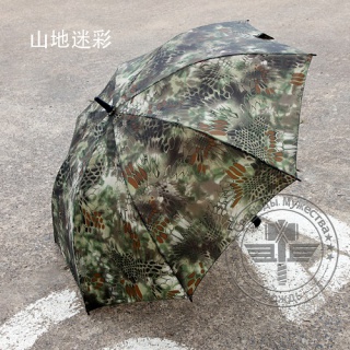 High-end pole umbrella