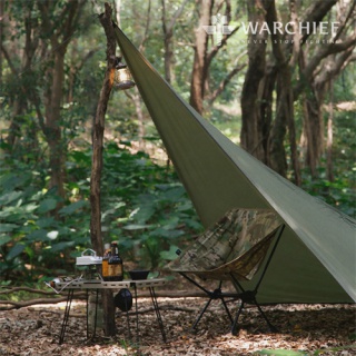 Chief 19 hanging point multifunctional canopy